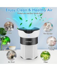 Air Purifier with H13 True HEPA Filter for Home
