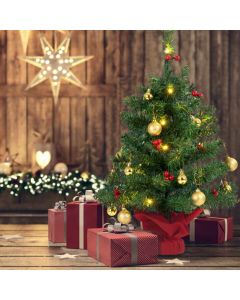 2FT 60cm PVC Artificial Christmas Tree with LED Lights