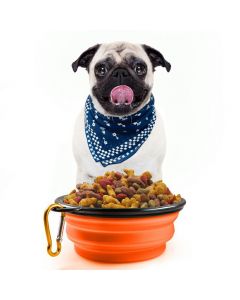 Pet Dog Cat Silicone Collapsible Feeding Bowl Travel Portable Bowl with Metal Buckle - Orange