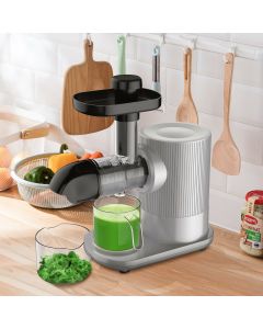 Slow Masticating Juicer Extractor Fruit Vegetable Machine
