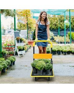 300kg Folding Push Cart Dolly