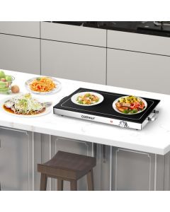 Food Warming Tray with Adjustable Temperature Control and Handles