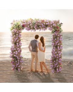 Garden Arch for Rose Vines Climbing Plant with Metal Frame