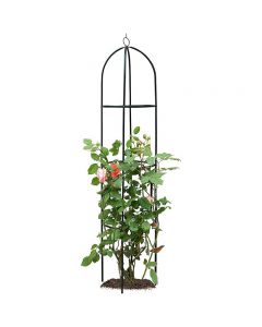 Tuscany Garden Obelisk Arch Climbing Plants Shrubs Trees Garden Essential