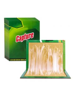 Multi-Use Pest Insects Sticky Board Efficient Glue Boards for Home Office and Garden