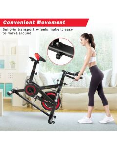 Indoor Stationary Exercise Bike with LCD Monitor