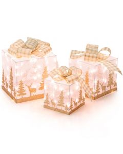 Lighted Christmas Gift Box Set of 3 for Indoor and Outdoor