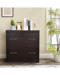 Lockable File Cabinets with 2 Drawers and Adjustable Hanging Bar