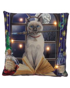 Decorative LED Cushion  Lisa Parker Hocus Pocus Cat