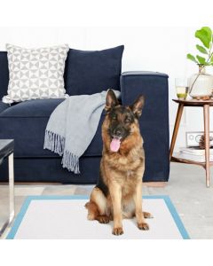 Pet Pee pads with 5-Layer Design of 4 Sizes