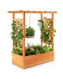 Raised Garden Bed with Arch Trellis