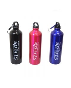 Metal Gym Sports Water Drinking Bottle Glossy Surface with Carabiner - Random Colour