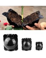 3 pcs Plant Root High Pressure Box Grafting Rooting Growing Device Propagation Ball - S