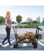 Outdoor Collapsible Wagon with Canopy