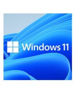 Microsoft Windows 11 Professional 64-bit